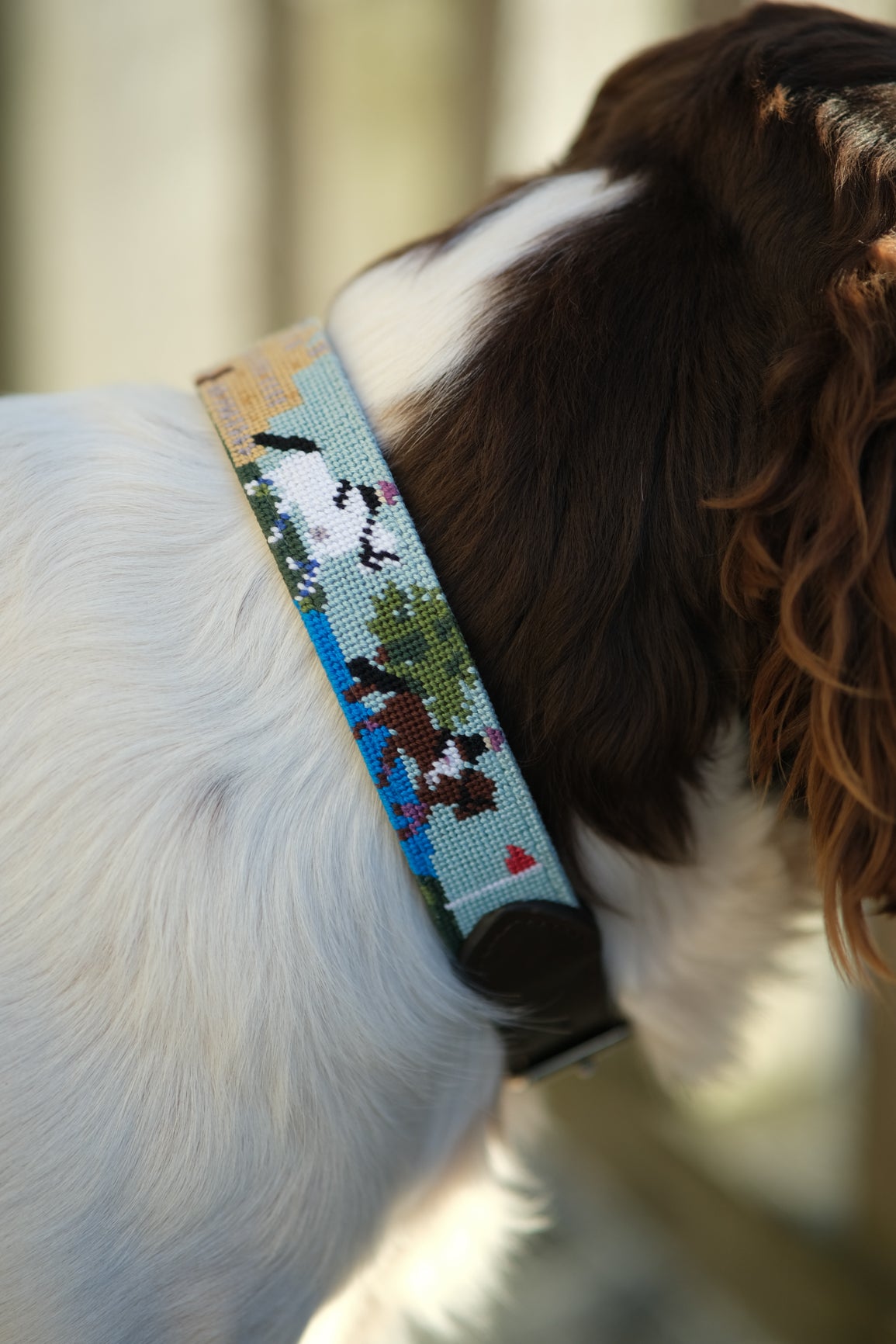 Dog Collar - Badminton