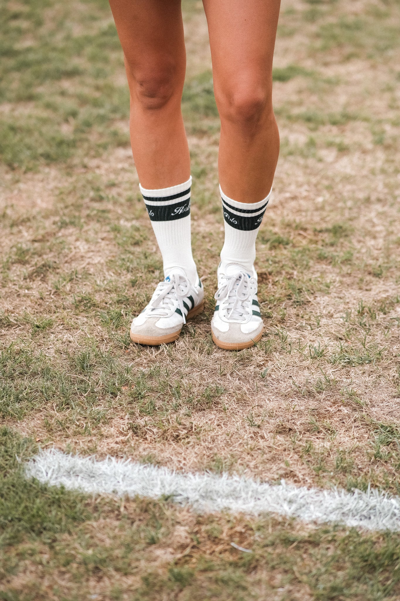 Members' Navy Socks