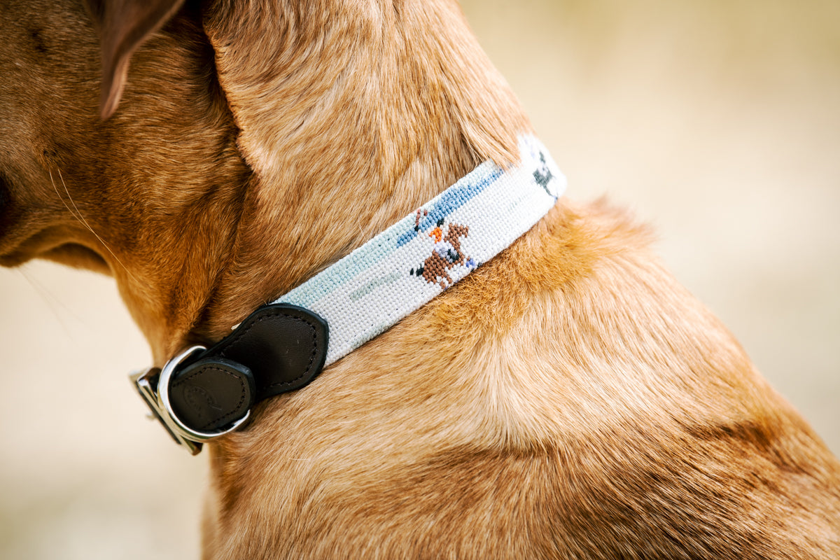 Dog Collar - Snow Polo