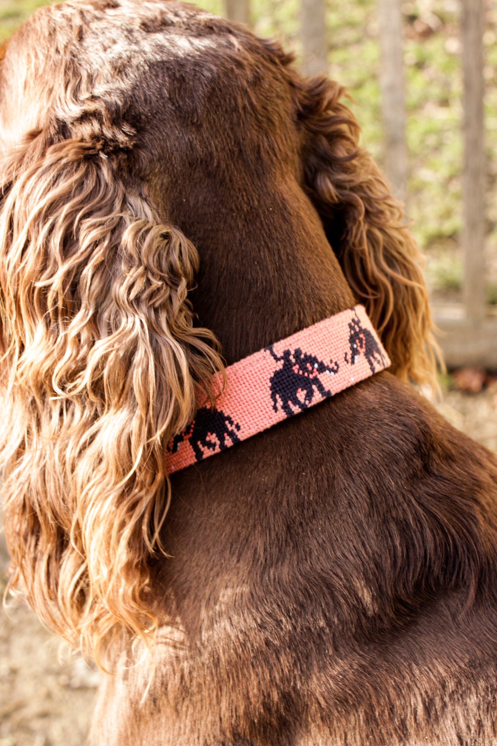 Dog Collar - Elephant Polo