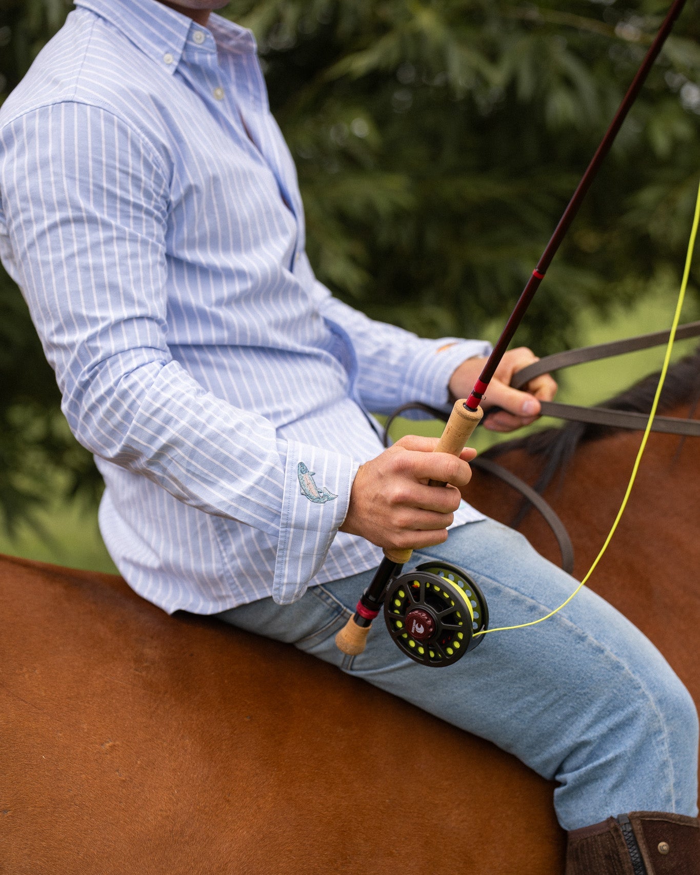 Argyll Striped Oxford Shirt