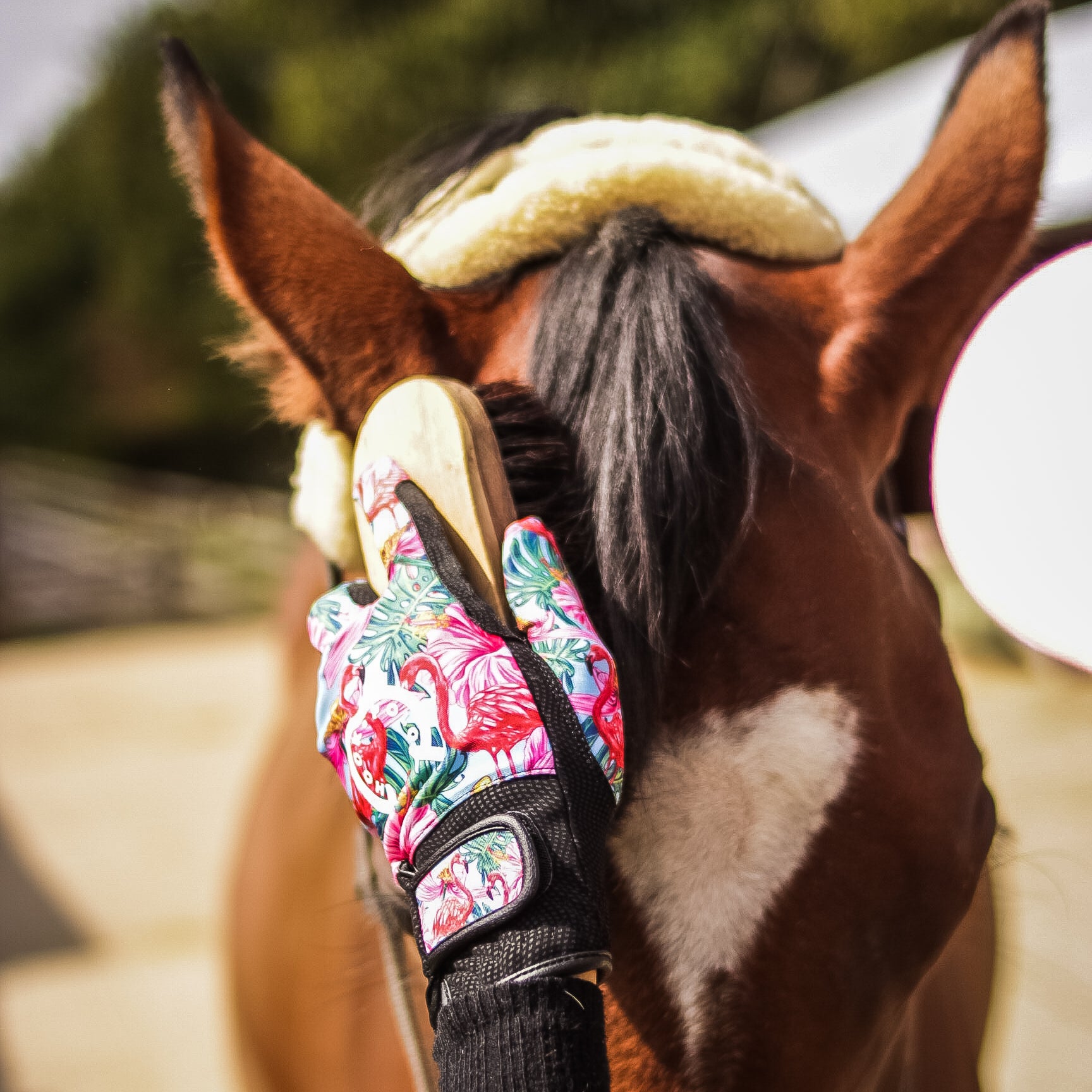 Riding Gloves - Flamingos